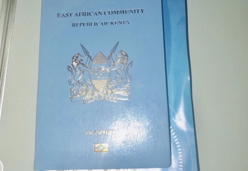 Over the years, it’s not one, two or three countys’ immigration officer that has looked at my passport